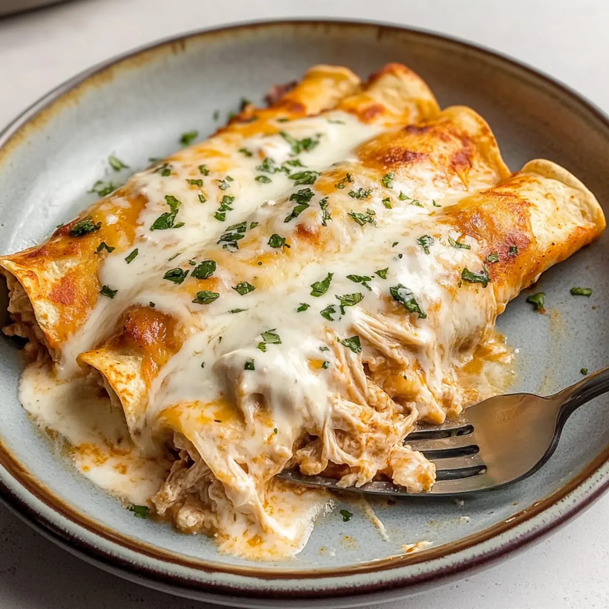 Shredded Chicken Enchiladas with Cheesy Sour Cream Sauce
